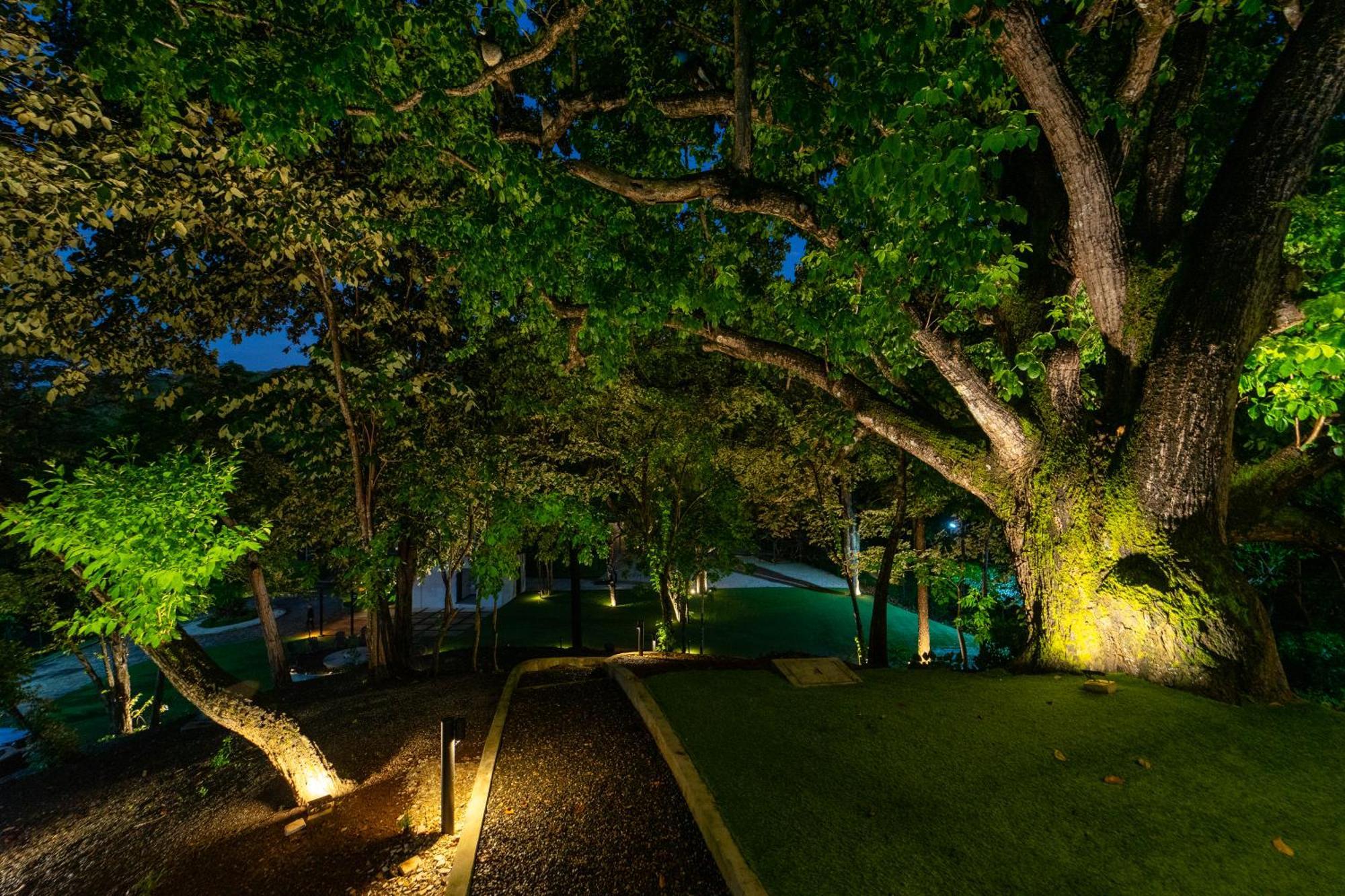 Epic Tamarindo Boutique Hotel Villarreal Exterior foto